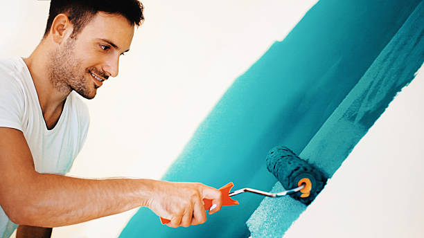 Reliable Winfield, IN Mold Removal Solutions