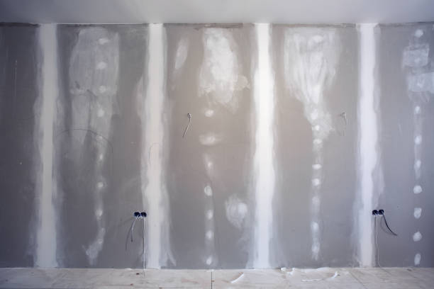 Best Basement Mold Removal  in Wfield, IN